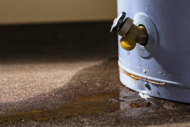 Reliable UT Water damage restoration Solutions