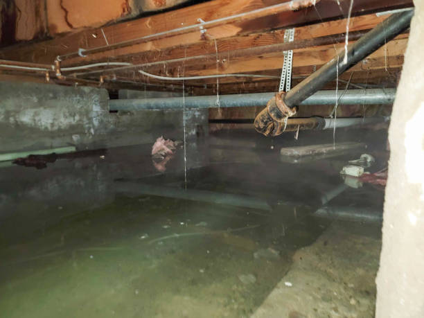Best Water damage restoration near me  in Smithfield, UT