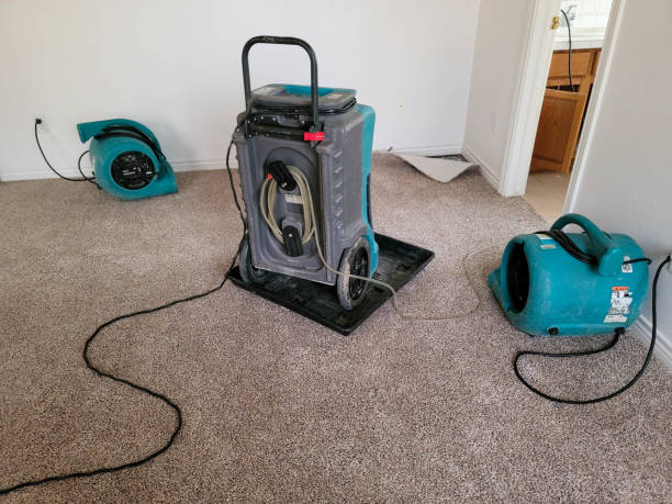 Professional Water damage restoration in UT