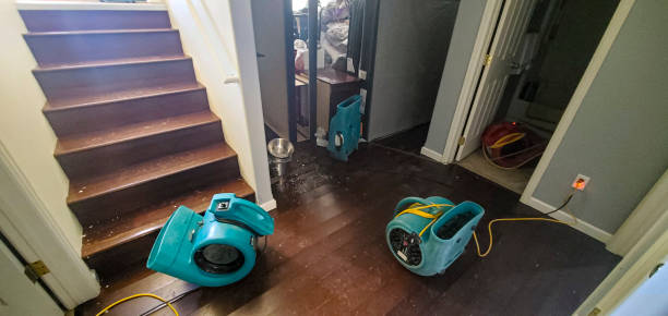 Best Basement water damage restoration  in Smithfield, UT