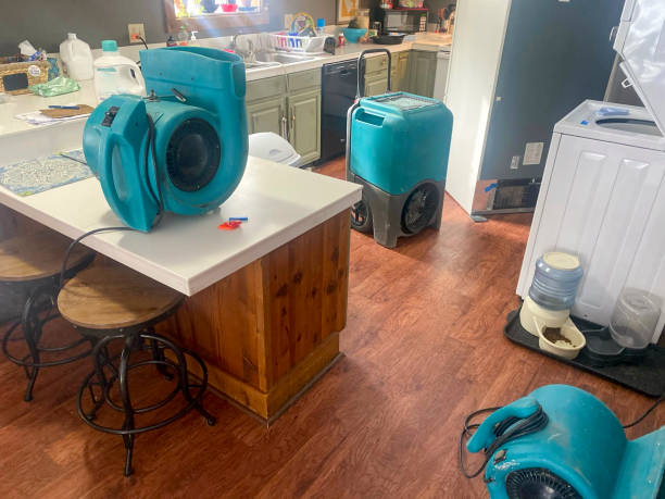 Water damage restoration mold remediation in UT