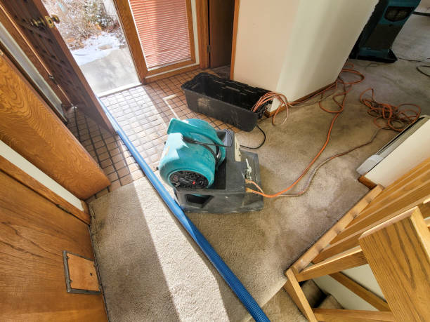 Best Water damage restoration company  in Smithfield, UT