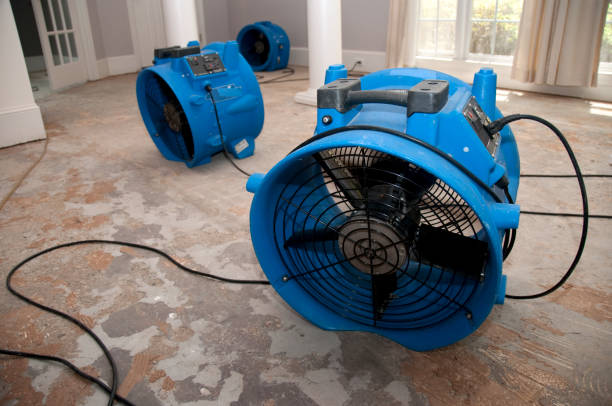 Best Water damage contractors near me  in Smithfield, UT