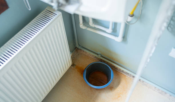 Best Professional water damage repair  in Smithfield, UT